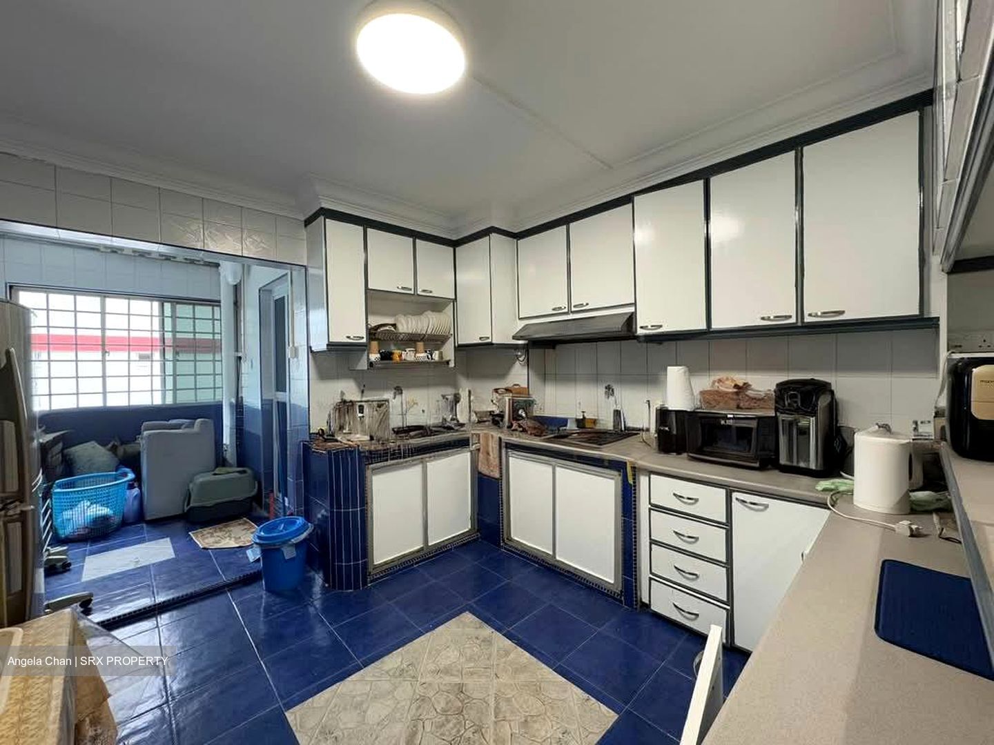 Blk 234 Pasir Ris Drive 4 (Pasir Ris), HDB 5 Rooms #569326291